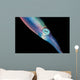 Caribbean Reef Squid Shallow Wall Decal Design 1