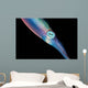 Caribbean Reef Squid Shallow Wall Decal Design 1
