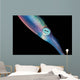 Caribbean Reef Squid Shallow Wall Decal Design 1
