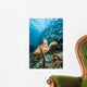 Green Sea Turtle and Wall Decal
