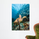 Green Sea Turtle and Wall Decal
