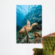 Green Sea Turtle and Wall Decal
