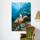 Green Sea Turtle and Wall Decal
