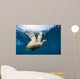 Hawksbill Sea Turtle Bonaire Wall Decal