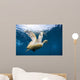 Hawksbill Sea Turtle Bonaire Wall Decal
