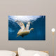 Hawksbill Sea Turtle Bonaire Wall Decal