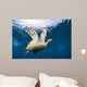 Hawksbill Sea Turtle Bonaire Wall Decal