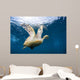 Hawksbill Sea Turtle Bonaire Wall Decal