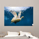 Hawksbill Sea Turtle Bonaire Wall Decal
