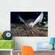 Spotted Eagle Ray Swimming Wall Decal Design 2