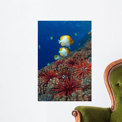 Sea Urchins and Butterflyfish Wall Decal shown on a wall