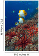 Sea Urchins and Butterflyfish Wall Decal