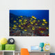 Schooling Raccoon Butterflyfish Chaetodon Wall Decal