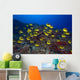 Schooling Raccoon Butterflyfish Chaetodon Wall Decal