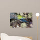 Undulated Moray Eel Feeding Wall Decal