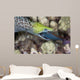Undulated Moray Eel Feeding Wall Decal