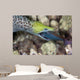 Undulated Moray Eel Feeding Wall Decal