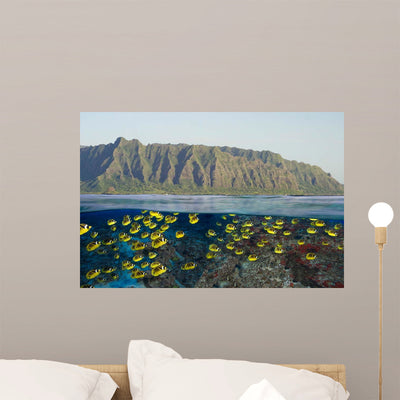 Digital Split Image Schooling Wall Decal shown on a wall