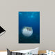 Spotted Porcupinefish Diodon Hystrix Wall Decal
