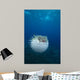Spotted Porcupinefish Diodon Hystrix Wall Decal