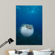 Spotted Porcupinefish Diodon Hystrix Wall Decal