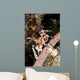 Harlequin Shrimp Feeding Sea Wall Decal