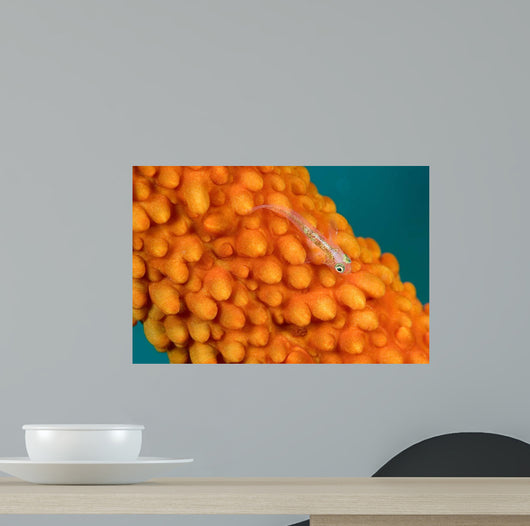 Whip Coral Goby Whip Wall Decal