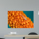 Whip Coral Goby Whip Wall Decal