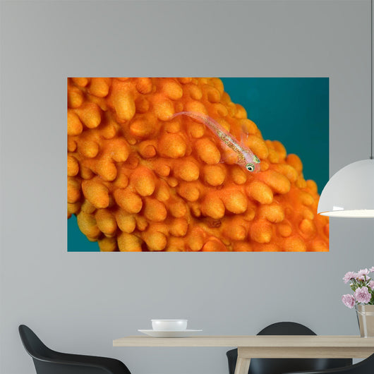 Whip Coral Goby Whip Wall Decal