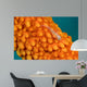 Whip Coral Goby Whip Wall Decal