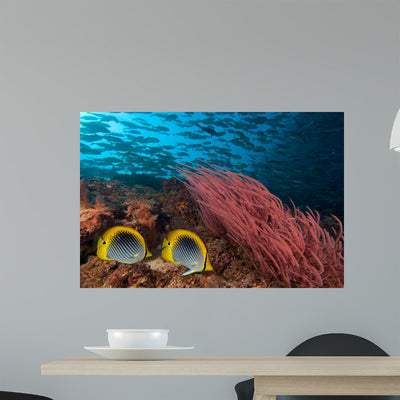 Reef Scene with Schooling Wall Decal shown on a wall