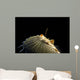 Oriental Flying Gurnard Showing Wall Decal