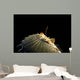 Oriental Flying Gurnard Showing Wall Decal