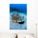 Horned Helmet Shell Capturing Wall Decal