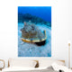 Horned Helmet Shell Capturing Wall Decal