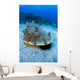 Horned Helmet Shell Capturing Wall Decal