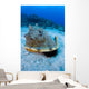 Horned Helmet Shell Capturing Wall Decal