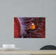 Clown Anemonefish Hiding Sea Wall Decal
