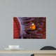 Clown Anemonefish Hiding Sea Wall Decal