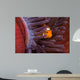 Clown Anemonefish Hiding Sea Wall Decal