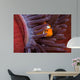 Clown Anemonefish Hiding Sea Wall Decal