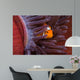 Clown Anemonefish Hiding Sea Wall Decal