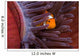Clown Anemonefish Hiding Sea Wall Decal