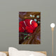 Female Spine-cheek Anemonefish and Wall Decal