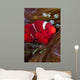 Female Spine-cheek Anemonefish and Wall Decal