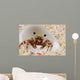 Front Eye Stalks and Wall Decal