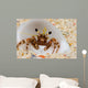 Front Eye Stalks and Wall Decal