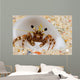 Front Eye Stalks and Wall Decal
