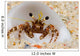 Front Eye Stalks and Wall Decal