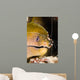 Banded Boxer Shrimp Checks Wall Decal